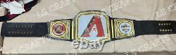 Arizona Diamondbacks MLB World Series Championship Belt Adult Size 2mm Brass