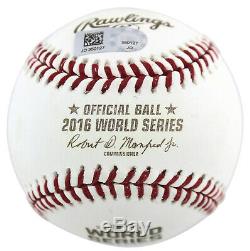 Cubs Willson Contreras 2016 World Series Champs Signed 2016 WS Baseball MLB