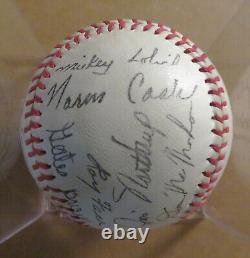 Detroit Tigers 1968 World Series Souvenir Ball with team facsimile signatures