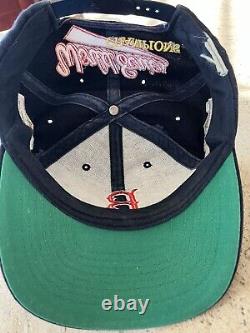 Vintage Annco Boston Red Sox Hat World Series